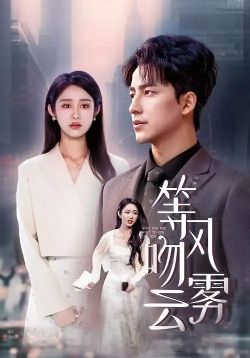 热播电视剧《与凤行》海报